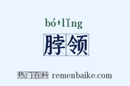 脖领是什么意思的图片